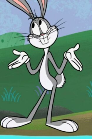 New Looney Tunes. T(T3). New Looney Tunes (T3): Cristóbal Molón / La piel de Porky