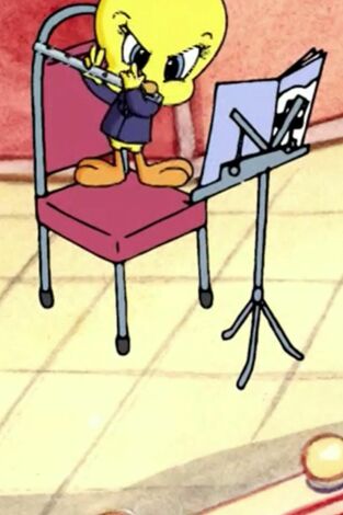Baby Looney Tunes. T(T1). Baby Looney Tunes (T1): Todos juntos