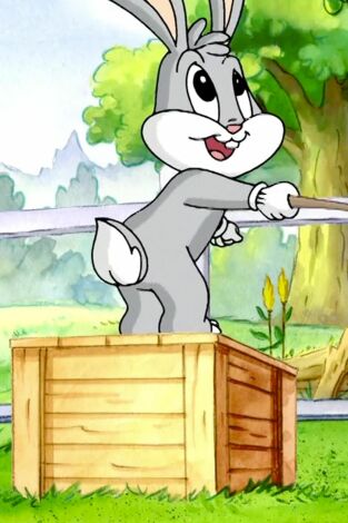 Baby Looney Tunes. T(T1). Baby Looney Tunes (T1): La magia de la primavera