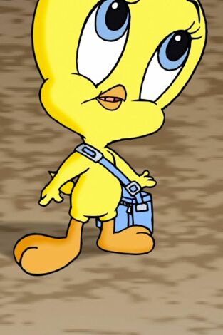 Baby Looney Tunes. T(T2). Baby Looney Tunes (T2): Encontrando pistas como las de Piolín