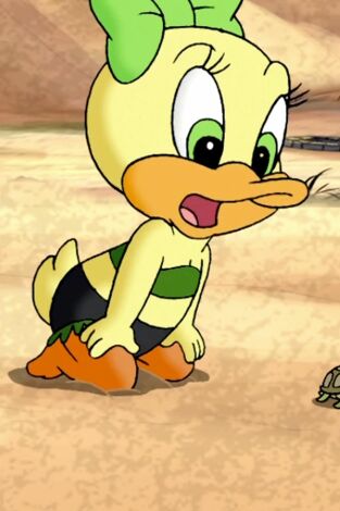 Baby Looney Tunes. T(T2). Baby Looney Tunes (T2): Una tortuga llamada Mirta