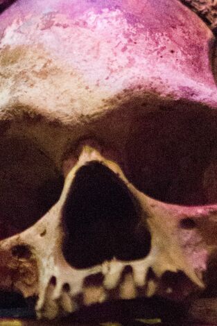 Buscadores de fantasmas. T(T19). Buscadores de... (T19): Ripley's Believe It or Not