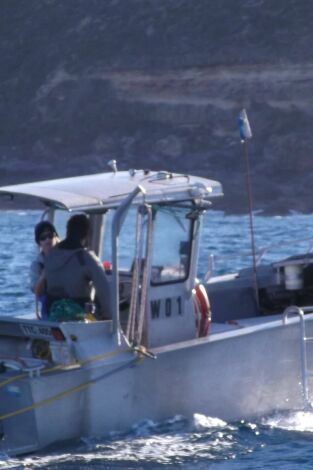 Pesca extrema en Australia. Pesca extrema en...: Vuelta a los negocios