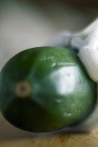 Viagra: el milagro azul. Viagra: el milagro...: Pura ciencia
