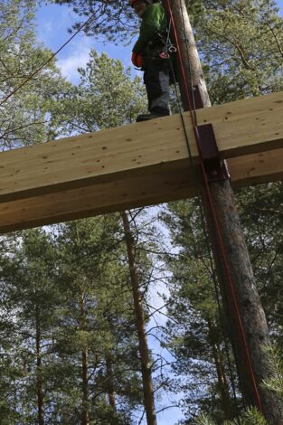 Mi casa en un árbol. Mi casa en un árbol: Una casa digna de un vikingo
