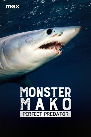 El gran mako: depredador perfecto