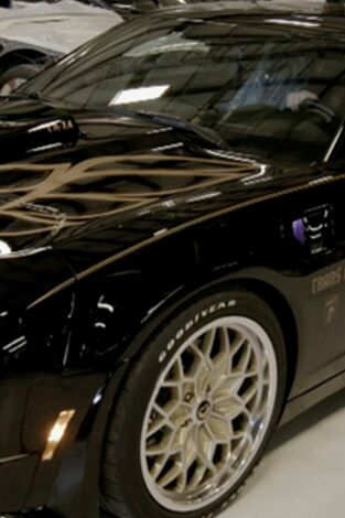 Trans Am: motores legendarios. Trans Am: motores...: El Bandit ha vuelto
