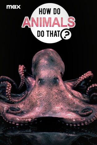 ¿Cómo lo hacen? Mundo animal. ¿Cómo lo hacen? Mundo animal 