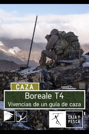 Boreale T 4. T(T4). Boreale T 4 (T4)