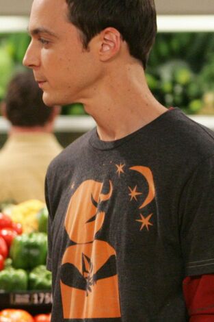The Big Bang Theory. T(T1). The Big Bang Theory (T1): Ep.4 El efecto del pez luminoso