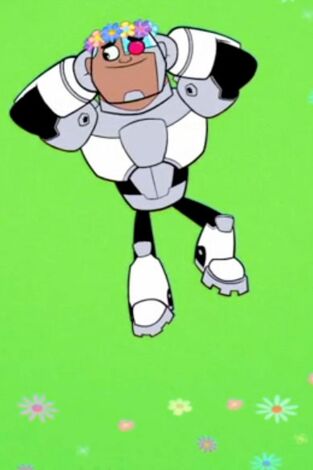 Teen Titans Go!. T(T3). Teen Titans Go! (T3): El jardín secreto