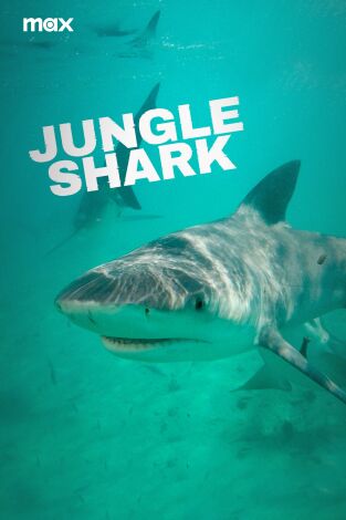 Tiburones en la jungla