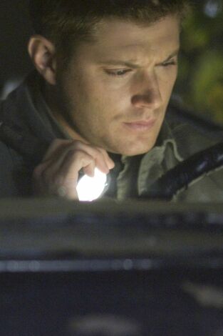 Supernatural. T(T4). Supernatural (T4): Ep.11 Family Remains