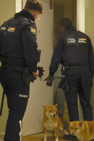 091: Alerta Policía. T(T7). 091: Alerta Policía (T7): Ep.2