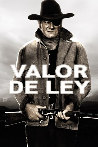 Valor de ley