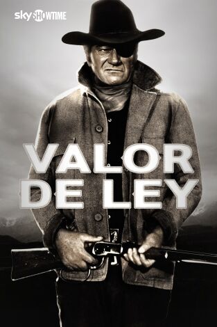 Valor de ley