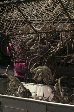 Pesca radical. T(T14). Pesca radical (T14): Primera sangre