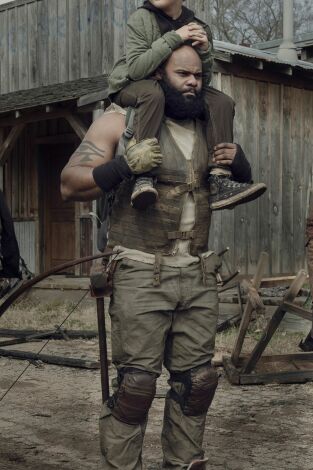 The Walking Dead. T(T11). The Walking Dead (T11)