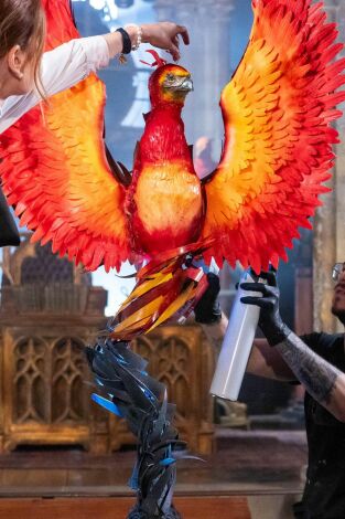 Harry Potter: los magos de la repostería. T(T1). Harry Potter: los... (T1): El despacho de Dumbledore