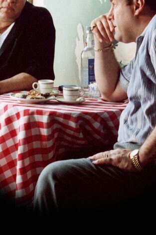 Los Soprano. T(T4). Los Soprano (T4): Ep.11 Llamando a todas las unidades
