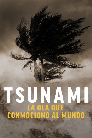 Tsunami: la ola que conmocionó al mundo. Tsunami: la ola que...: Ep.1