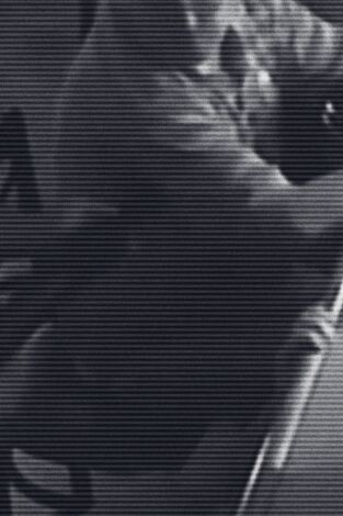 Crímenes virales. Crímenes virales: Sin miedo