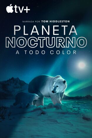 Planeta nocturno: a todo color