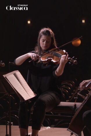 Beethoven - Complete String Quartets IV
