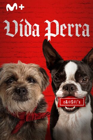 Vida perra
