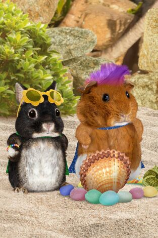 Wonder Pets en la ciudad. T(T1). Wonder Pets en la... (T1): ¡Ayudan al cangrejo del Caribe! / ¡Salvan a los carneros!