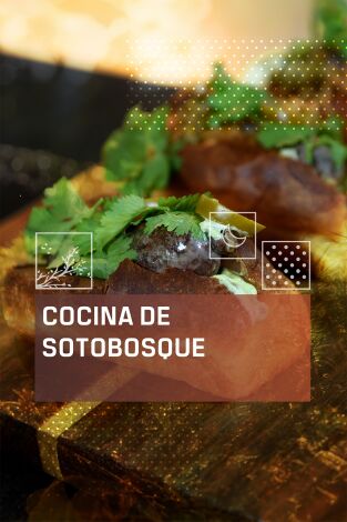 Cocina de Sotobosque