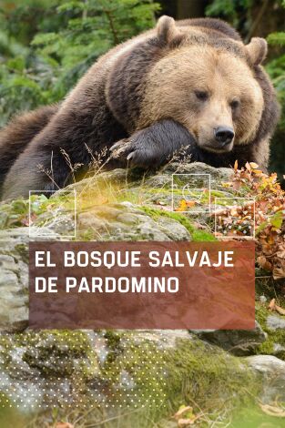 El bosque salvaje de Pardomino