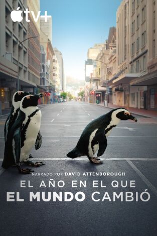 El año en el que el mundo cambió