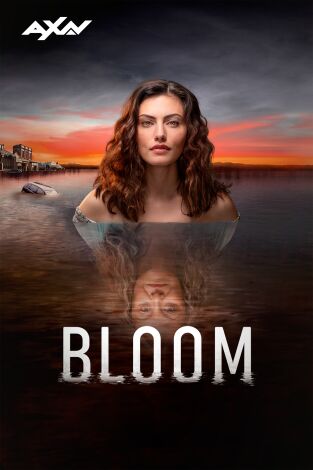 Bloom. T(T1). Bloom (T1)