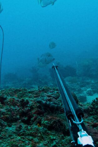 Pesca submarina en los mares del sur. Pesca submarina en los...: Ep.4