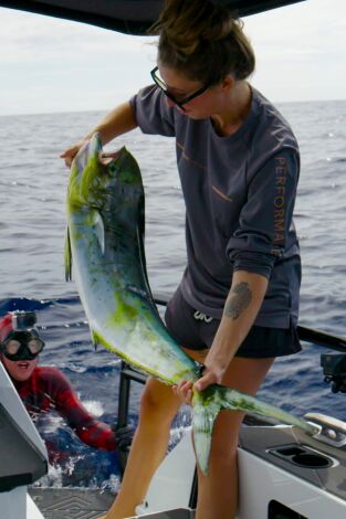Pesca submarina en los mares del sur. Pesca submarina en los...: Boarfish