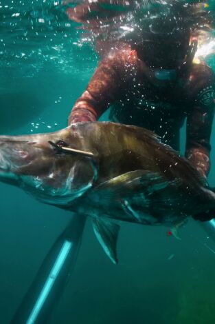 Pesca submarina en los mares del sur. Pesca submarina en los...: Far Flung Fiji