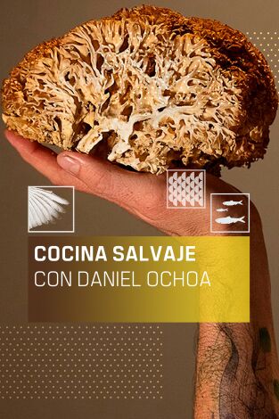Cocina salvaje con Daniel Ochoa. T(T1). Cocina salvaje con Daniel Ochoa (T1)