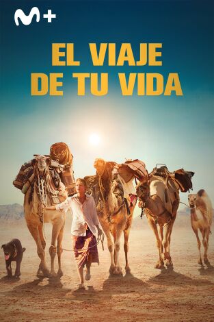 El viaje de tu vida