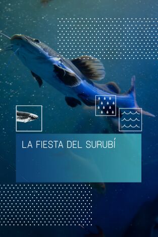 La fiesta del Surubí