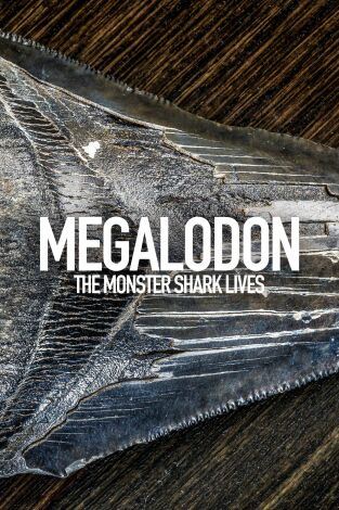 La leyenda del Megalodón