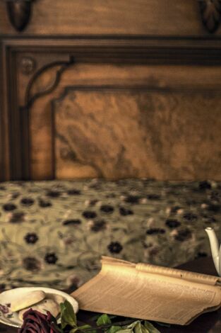 Buscadores de fantasmas. T(T15). Buscadores de... (T15): Regreso a Winchester Mystery House