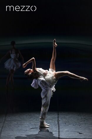 El lago de los cisnes de Angelin Preljocaj - Teatro Nacional de Chaillot