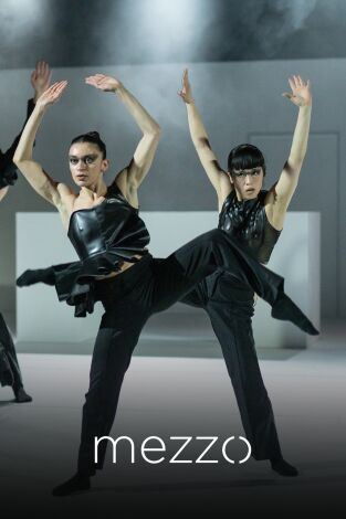 Don Quixote - Ballet de Berna