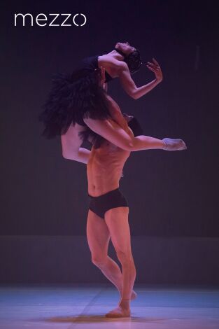 El Lago - La Mov - Festival Le Temps d'aimer la danse Biarritz