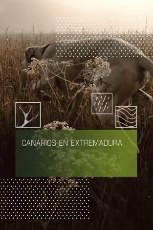 Canarios en Extremadura