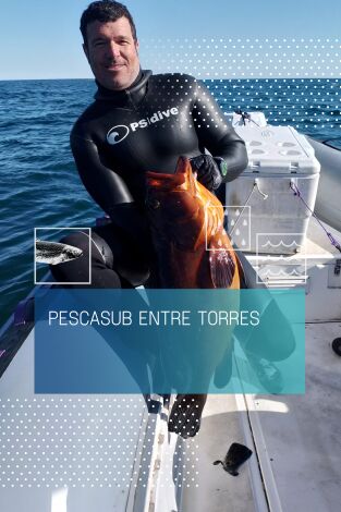 Pescasub entre torres
