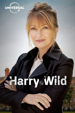 Harry Wild. T(T1). Harry Wild (T1)