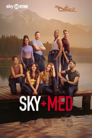 SkyMed. T(T3). SkyMed (T3)