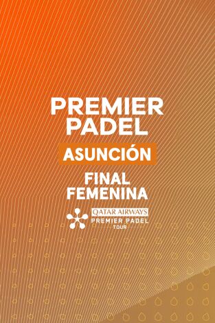 Final. Final: Fernández/González - Brea/Triay